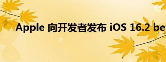 Apple 向开发者发布 iOS 16.2 beta 1