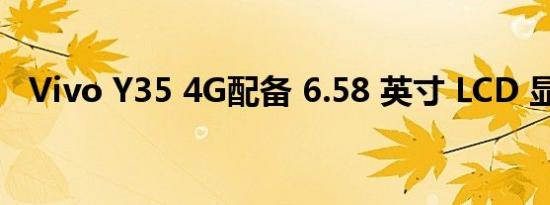 Vivo Y35 4G配备 6.58 英寸 LCD 显示屏