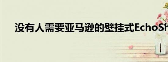 没有人需要亚马逊的壁挂式EchoShow