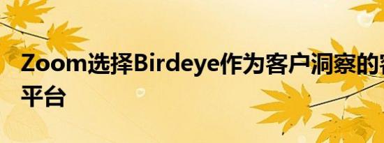 Zoom选择Birdeye作为客户洞察的客户体验平台