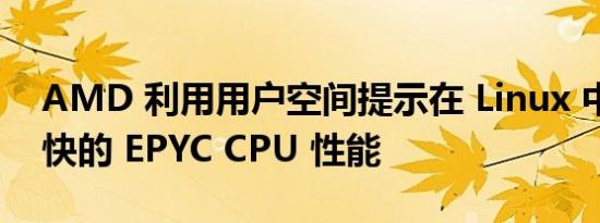 AMD 利用用户空间提示在 Linux 中实现更快的 EPYC CPU 性能