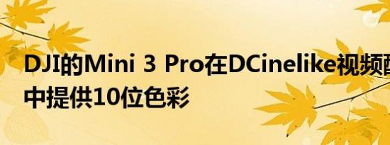 DJI的Mini 3 Pro在DCinelike视频配置文件中提供10位色彩