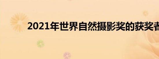 2021年世界自然摄影奖的获奖者
