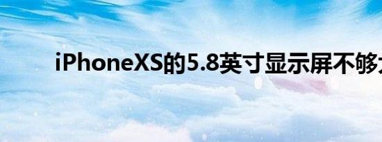 iPhoneXS的5.8英寸显示屏不够大