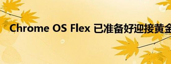 Chrome OS Flex 已准备好迎接黄金时段