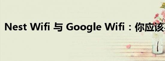 Nest Wifi 与 Google Wifi：你应该买哪个