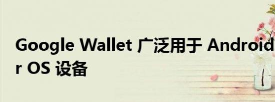Google Wallet 广泛用于 Android 和 Wear OS 设备