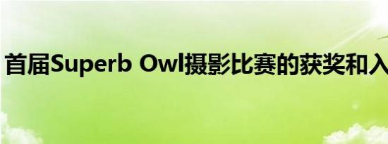 首届Superb Owl摄影比赛的获奖和入围图片