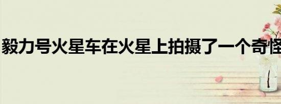 毅力号火星车在火星上拍摄了一个奇怪的物体