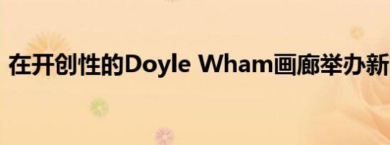 在开创性的Doyle Wham画廊举办新的个展
