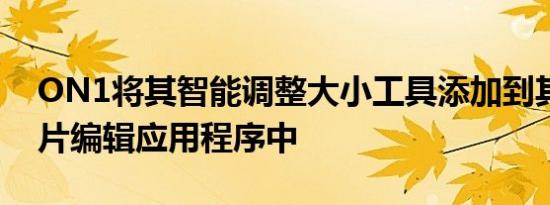 ON1将其智能调整大小工具添加到其旗舰照片编辑应用程序中