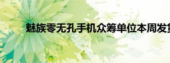 魅族零无孔手机众筹单位本周发货