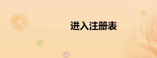 进入注册表