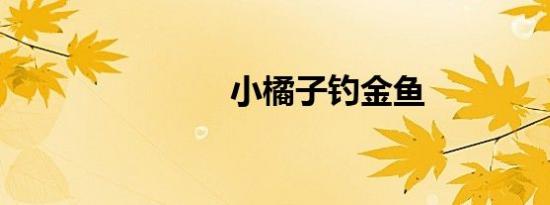 小橘子钓金鱼