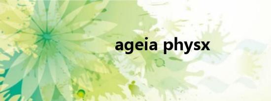 ageia physx
