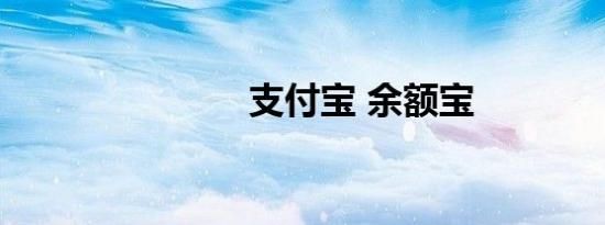 支付宝 余额宝
