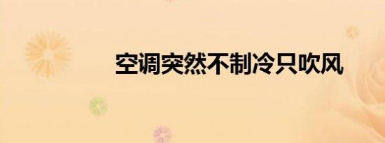空调突然不制冷只吹风