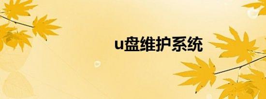 u盘维护系统