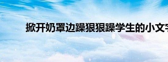 掀开奶罩边躁狠狠躁学生的小文字