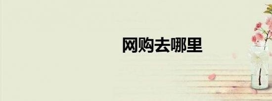 网购去哪里