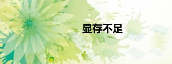 显存不足