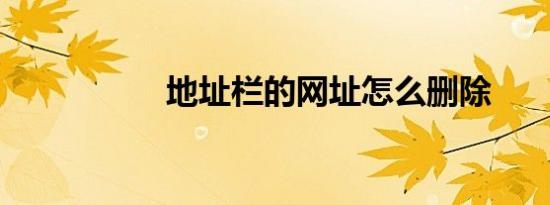 地址栏的网址怎么删除