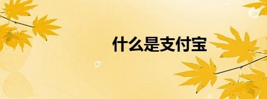 什么是支付宝