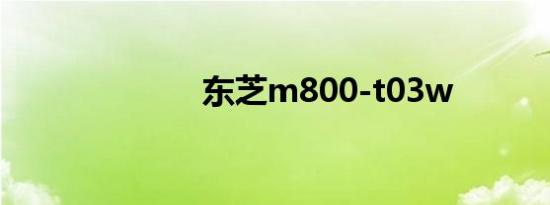 东芝m800-t03w