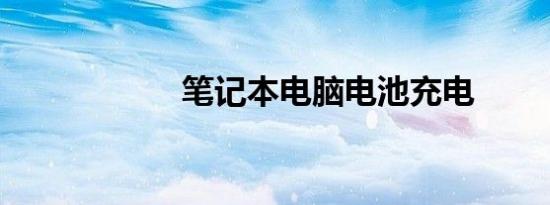 笔记本电脑电池充电