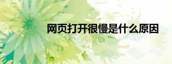 网页打开很慢是什么原因