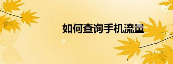 如何查询手机流量