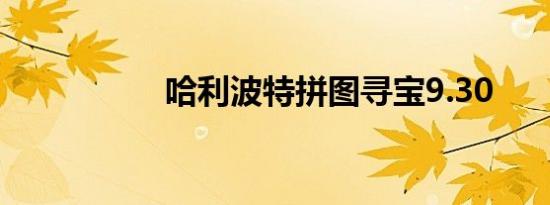 哈利波特拼图寻宝9.30
