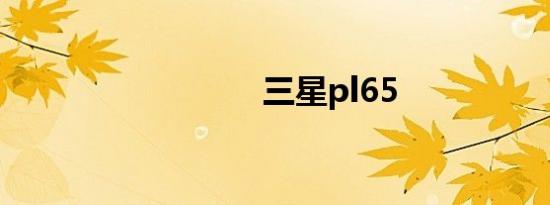 三星pl65