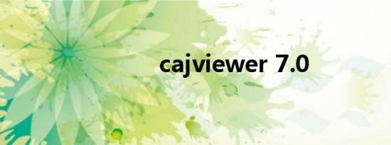 cajviewer 7.0
