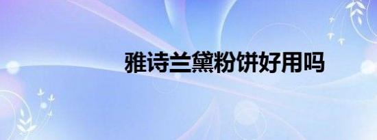 雅诗兰黛粉饼好用吗