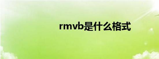 rmvb是什么格式