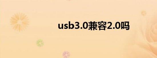 usb3.0兼容2.0吗