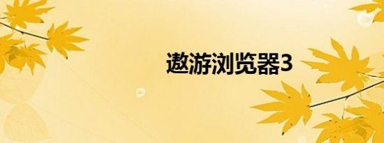 遨游浏览器3