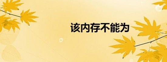 该内存不能为