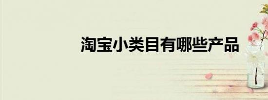 淘宝小类目有哪些产品