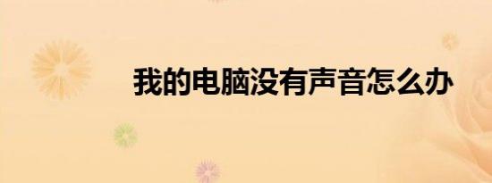 我的电脑没有声音怎么办