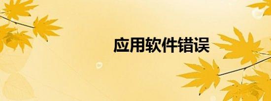 应用软件错误