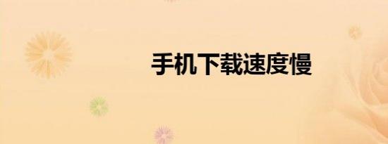 手机下载速度慢