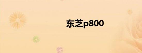 东芝p800
