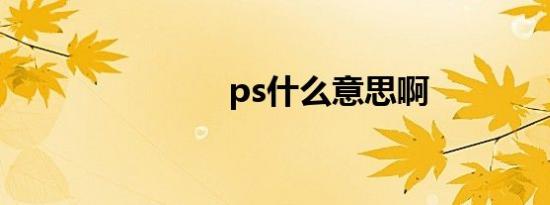 ps什么意思啊