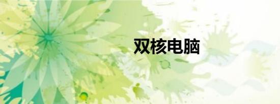 双核电脑