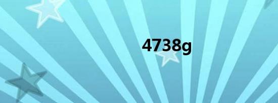 4738g