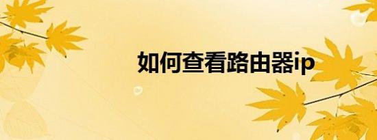 如何查看路由器ip