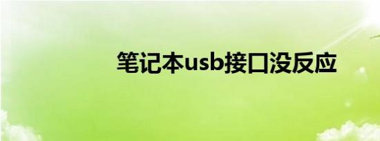 笔记本usb接口没反应