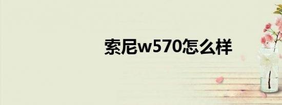 索尼w570怎么样